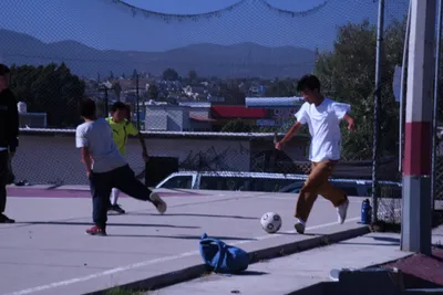 DSC_2098 (Large).JPG